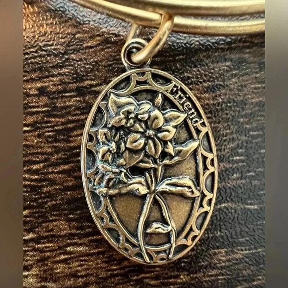 Alex and Ani | Friend, Expandable Rafaelian Bangle Bracelet. - Picture 2 of 8